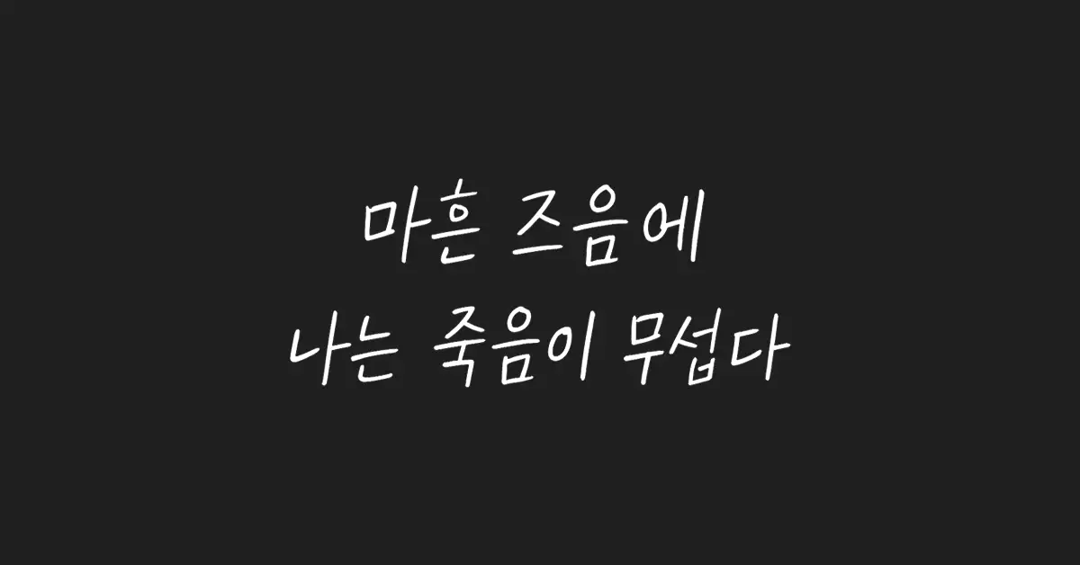 마흔-즈음에-나는-죽음이-무섭다